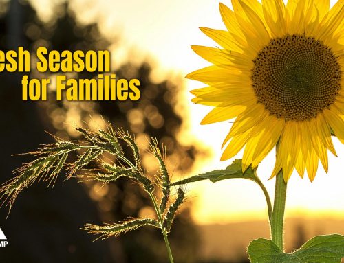 Labor Day & Back-to-School: A Fresh Season for Families