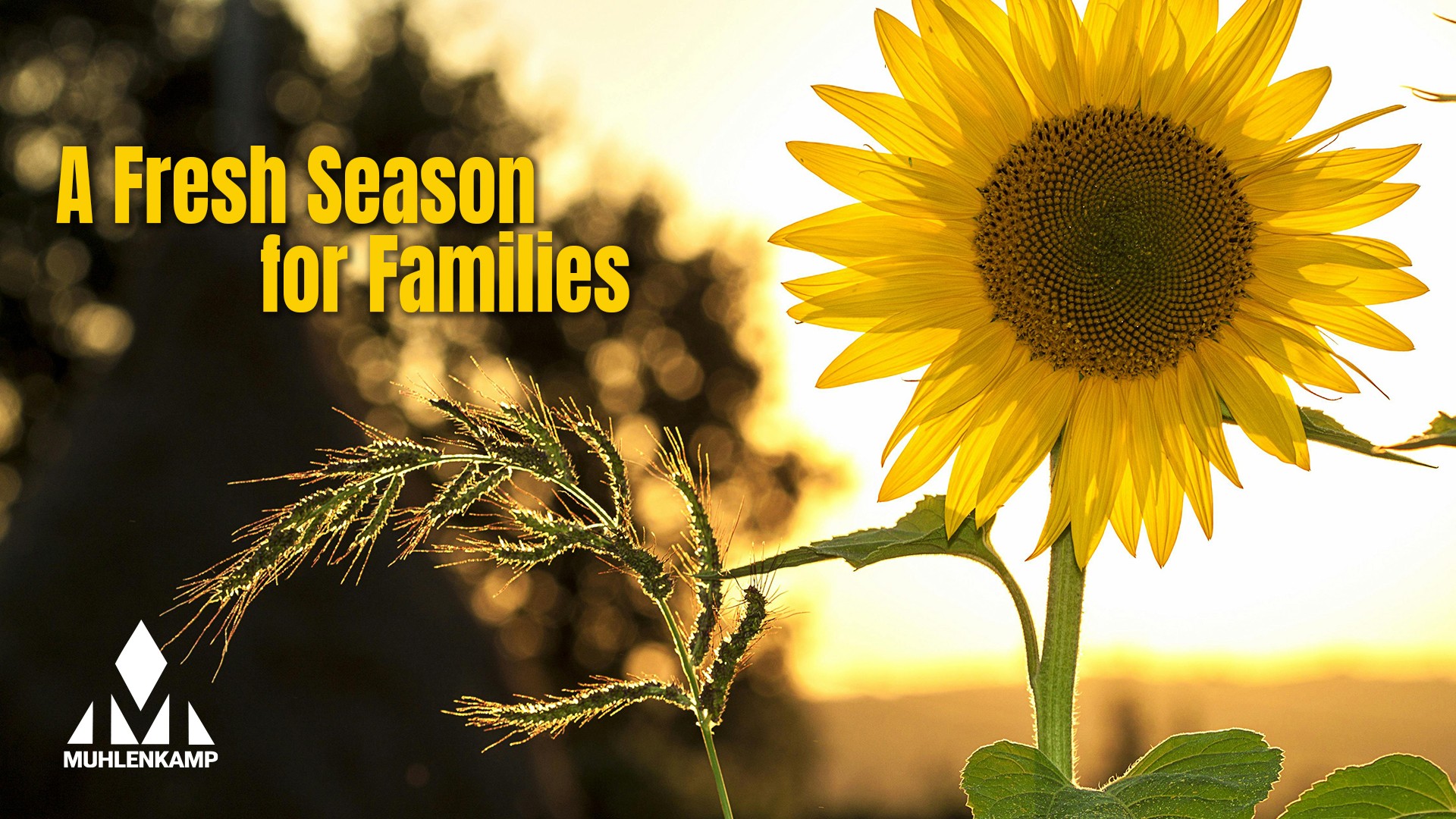 thumbnail_A-Fresh-Season-for-Families