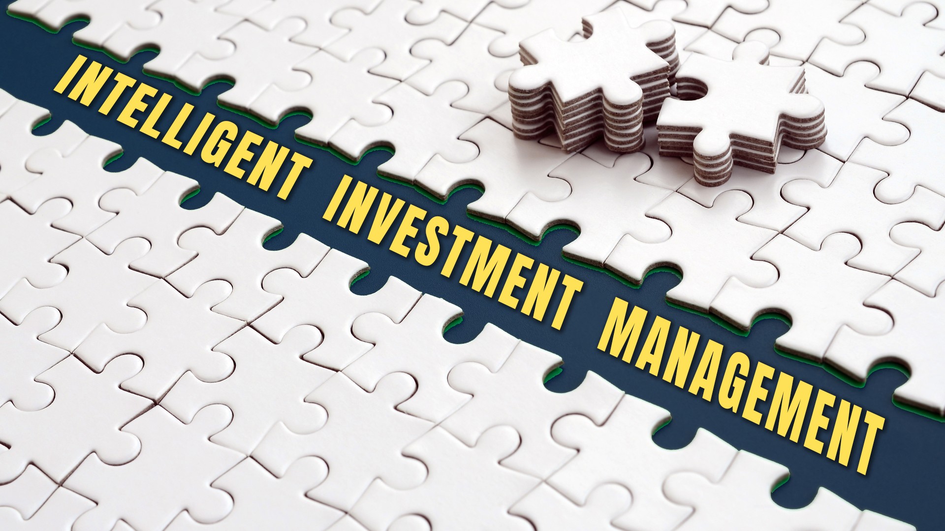 thumbnail_Intelligent-Investment-Management